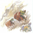 Serviette Kühe, Rarität